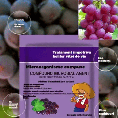 Agent Natural Anti-Boli VitaGuard
