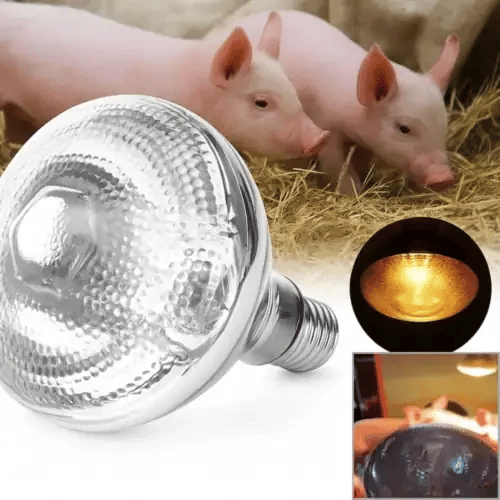 Lampa Solară Pentru Animale SoareCald