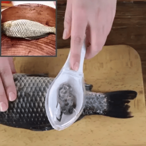 FishMaster vízkőtisztító