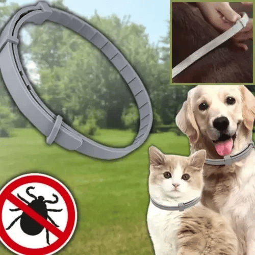 PawShield kullancs- és bolhairtó nyakörv